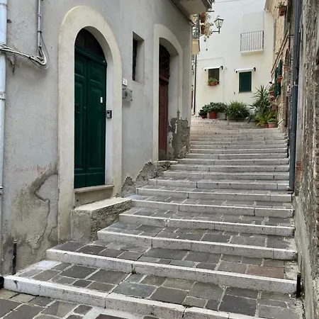 Il Tempio Del Gufo