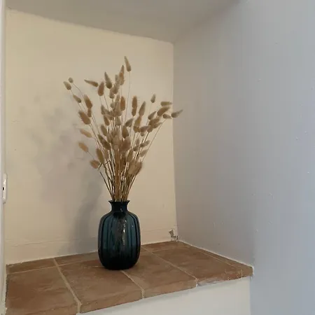 Tatil Evi Il Tempio Del Gufo Casoli (Abruzzo)