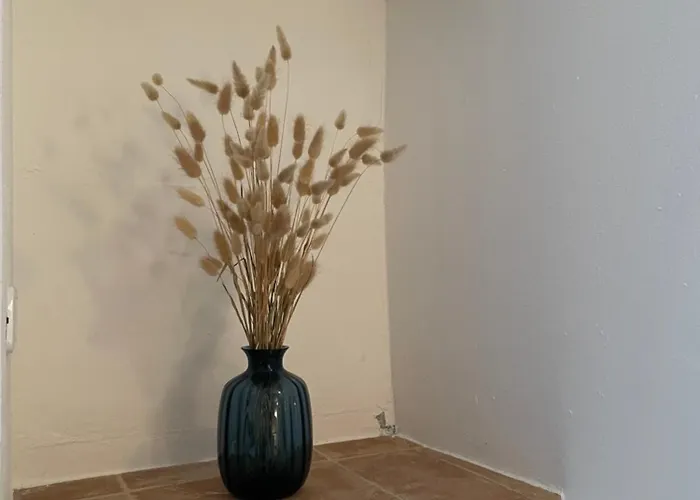 Casa vacanze Il Tempio Del Gufo Casoli (Abruzzo)